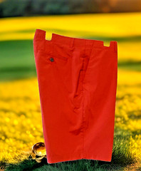 Pebble Beach Mens 40 Dry Luxe Performance Flat Front Golf Shorts Lt.weight⛳EUC